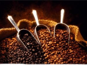 Large bag coffee beans for small-batch roasting, crafted fresh for events and serious coffee lovers.